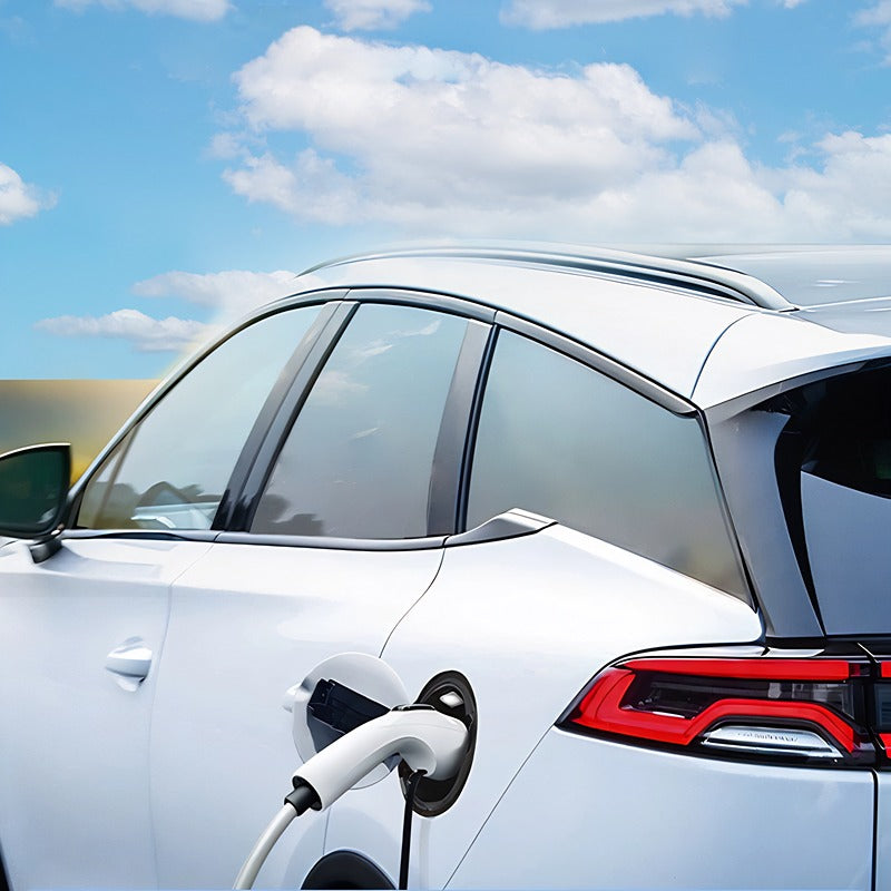 Electric Vehicle Discharger V2L