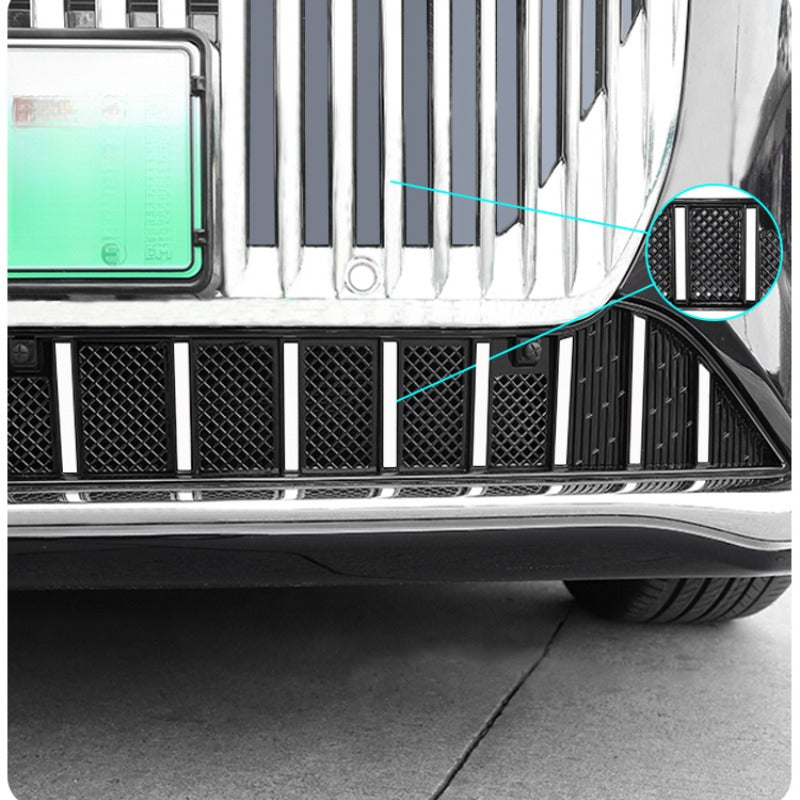Front Grille Insect Protection Mesh For Voyah Dream